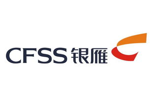 金融外包服務(wù) 看準(zhǔn)網(wǎng)上的機(jī)遇與風(fēng)險(xiǎn)分析